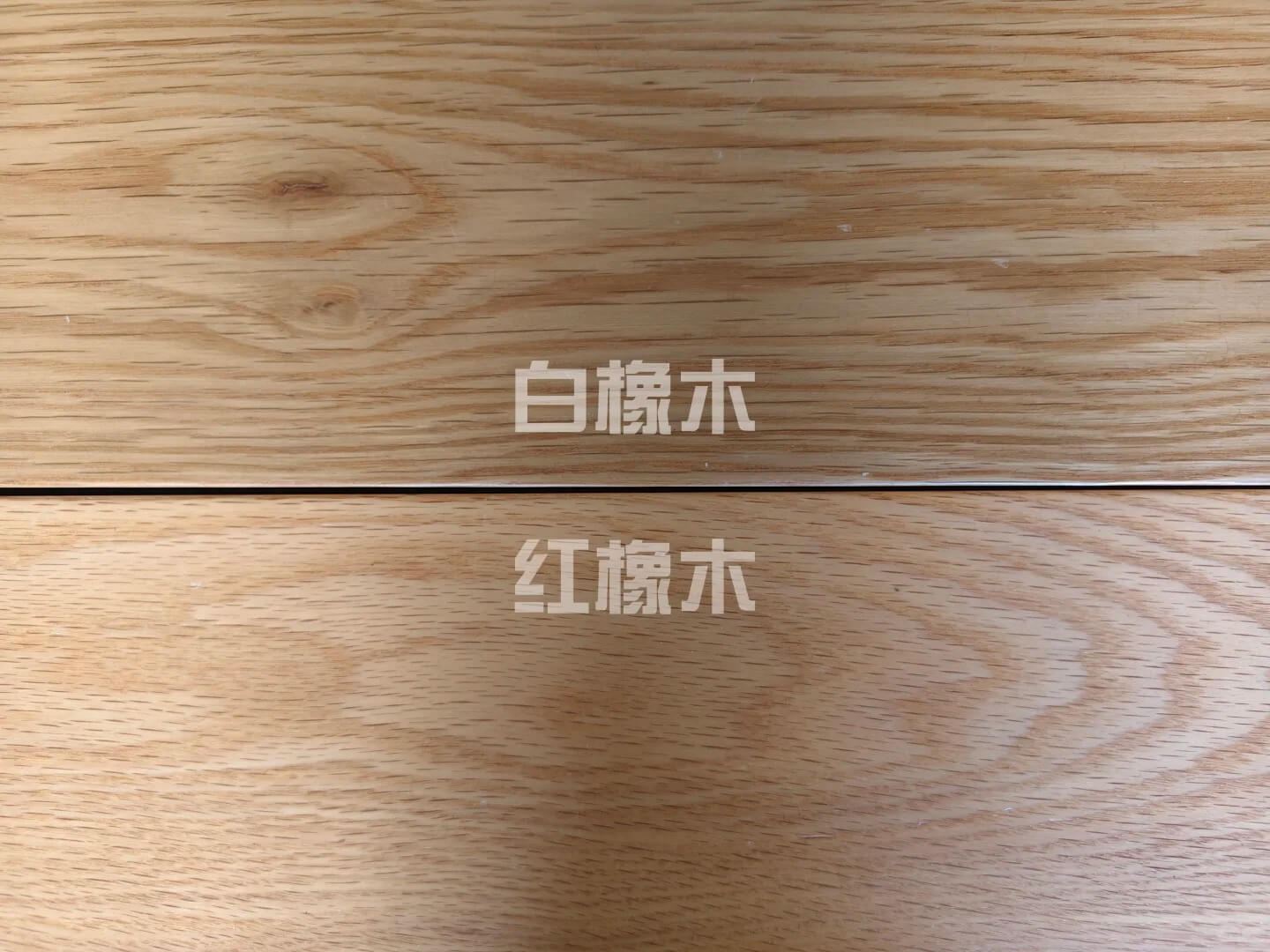 新闻资讯